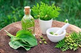 Potensi Obat Herbal: Inovasi Farmasi yang Kian Berkembang