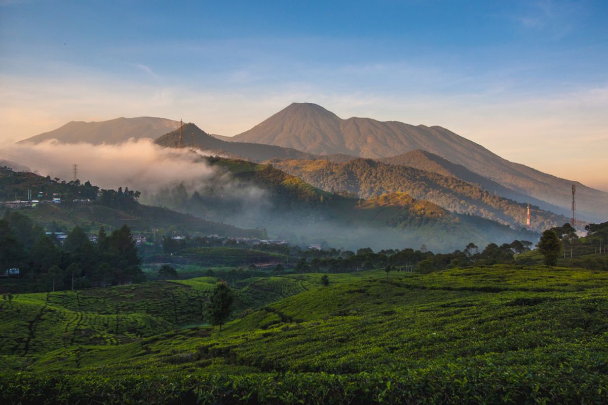 6 Fakta Menarik Gunung Pangrango yang Perlu Anda Ketahui